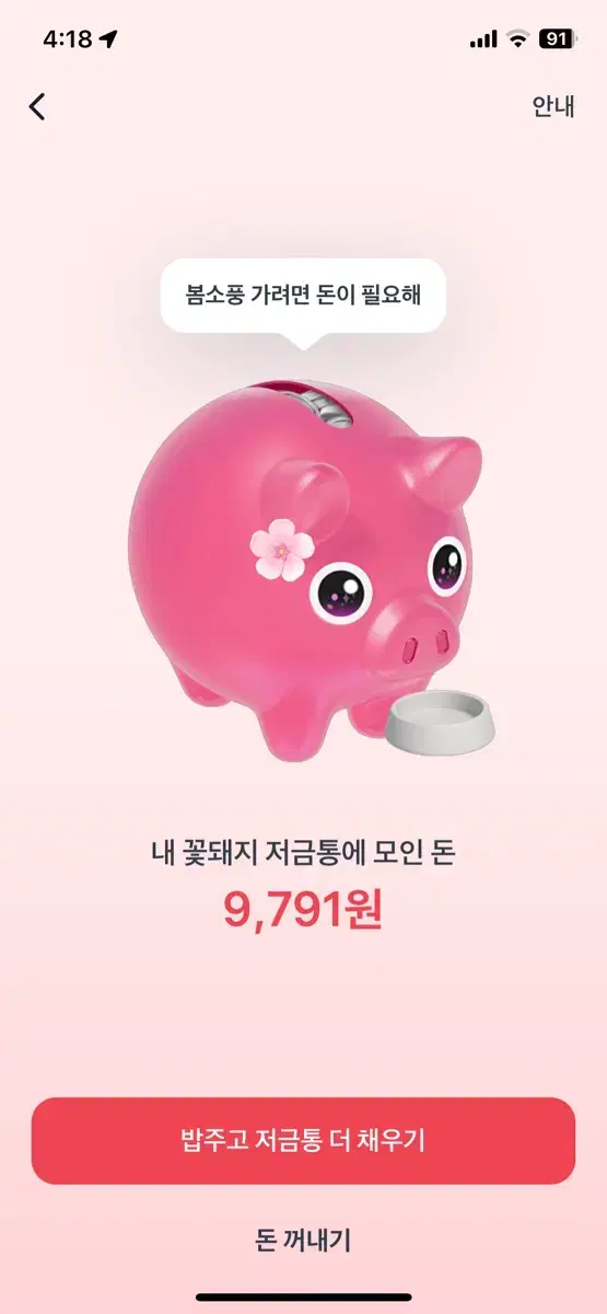 토스 꽃돼지 500